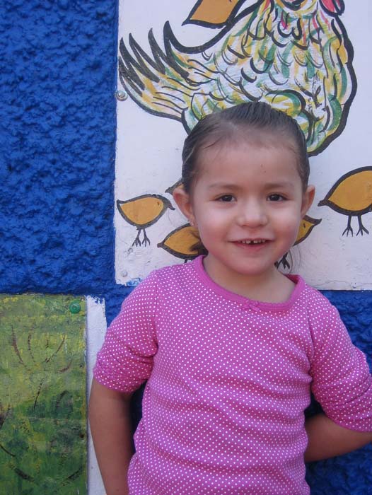 En sombra