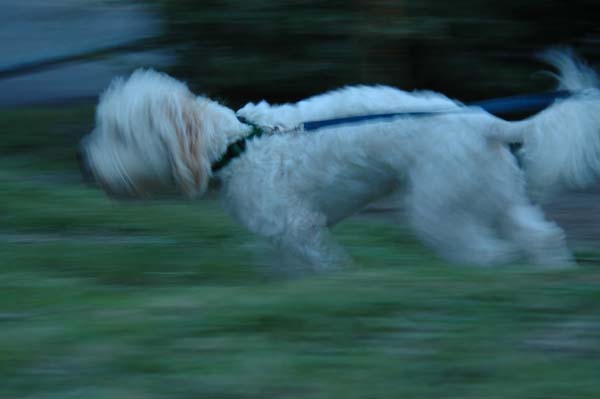 Correr