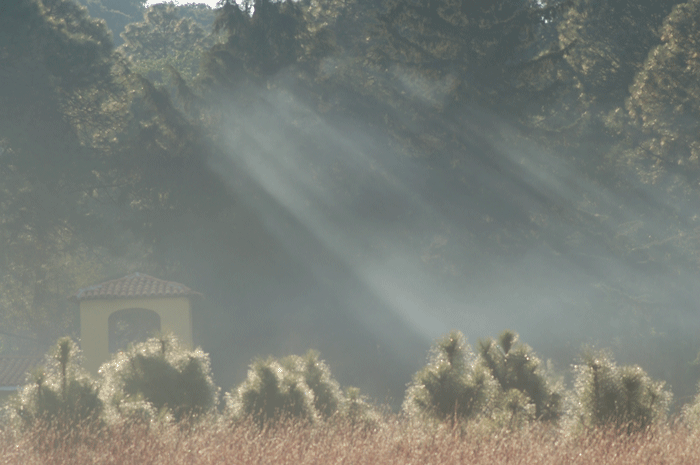 Luz en amanecer