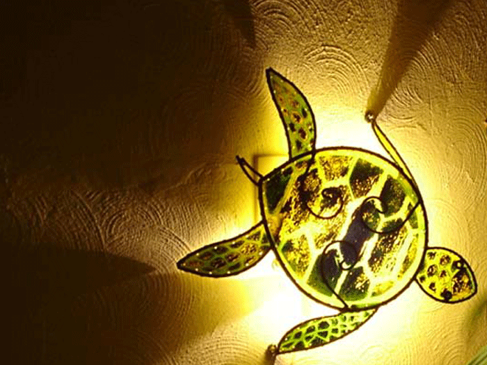 Arreglo Tortuga