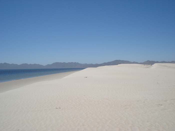 Dunas