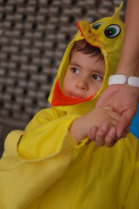 David de pollo